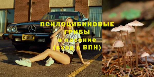 PSILOCYBIN Баксан