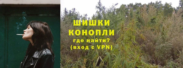PSILOCYBIN Баксан