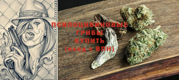 PSILOCYBIN Баксан