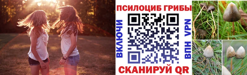 Галлюциногенные грибы Cubensis  мега маркетплейс  Красноперекопск 